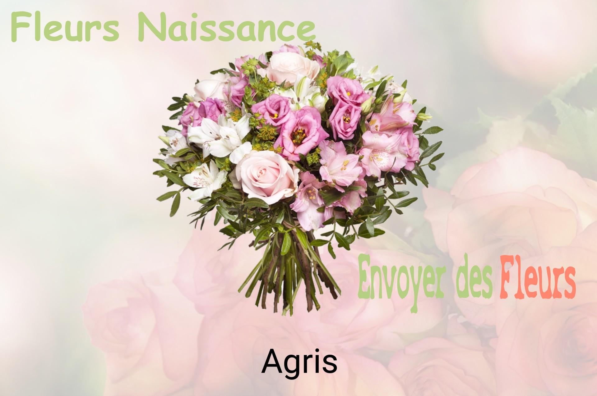 Bouquet de fleurs de naissance livré à Agris