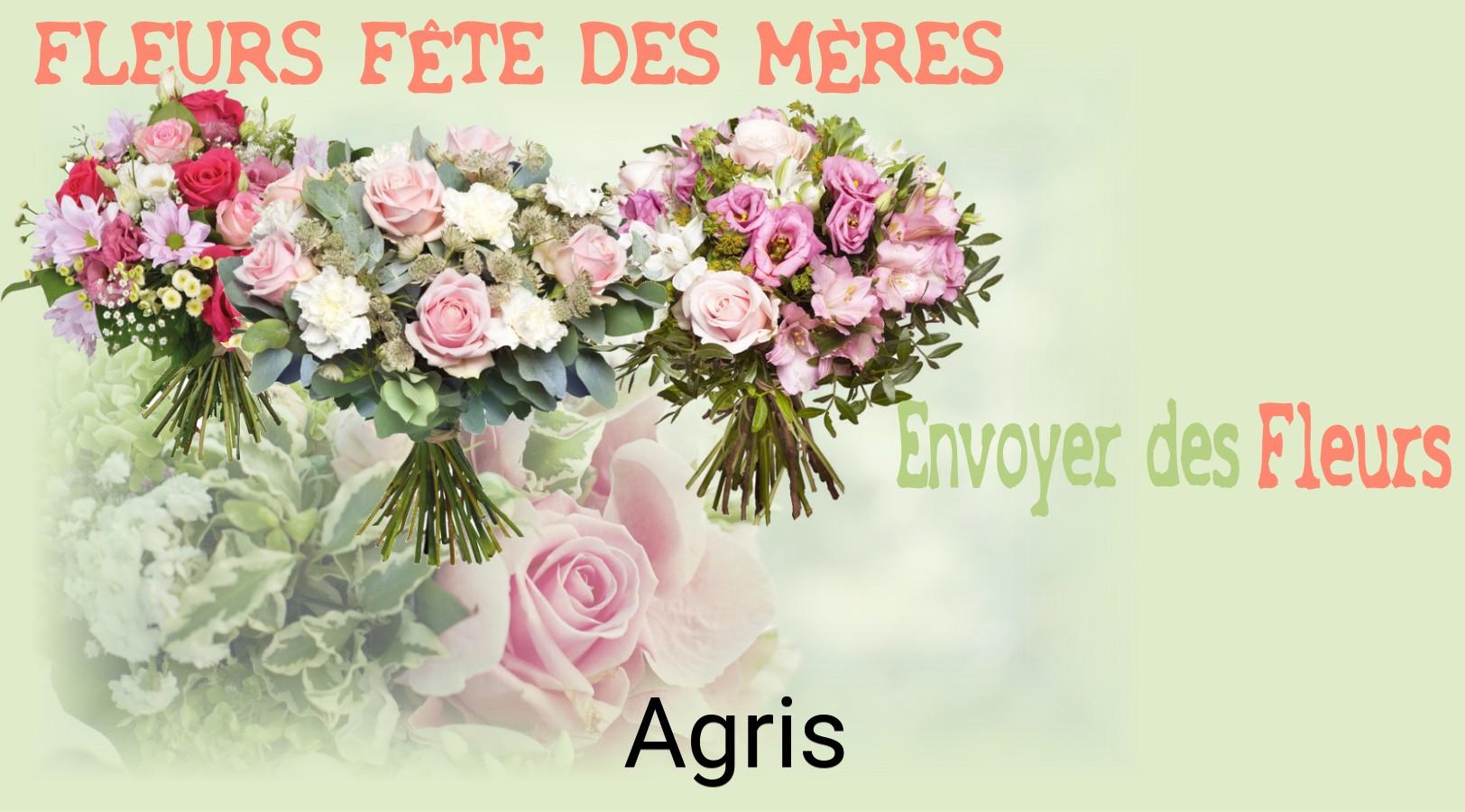 Bouquet de Fête des Mères livré à Agris